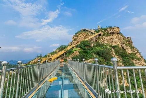 葫芦岛木栈道爆料最新消息,工程进度揭秘，美景即将呈现  第1张