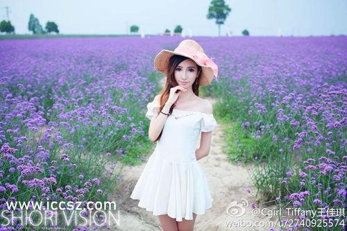 3d豪情手机在线观看,沉浸式观影体验，带你领略视觉盛宴  第2张