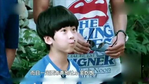 八卦娱乐爆料恶搞图片,恶搞图片背后的八卦娱乐风云  第1张