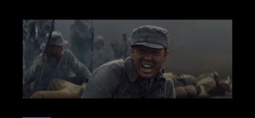 幸存者电视剧在线观看,生死较量，真实生存挑战再现  第3张