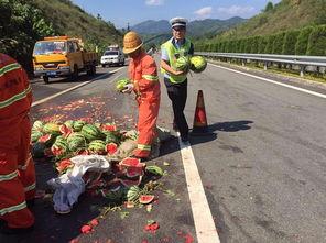 高速免费吃瓜群众,吃瓜群众狂欢时刻  第2张